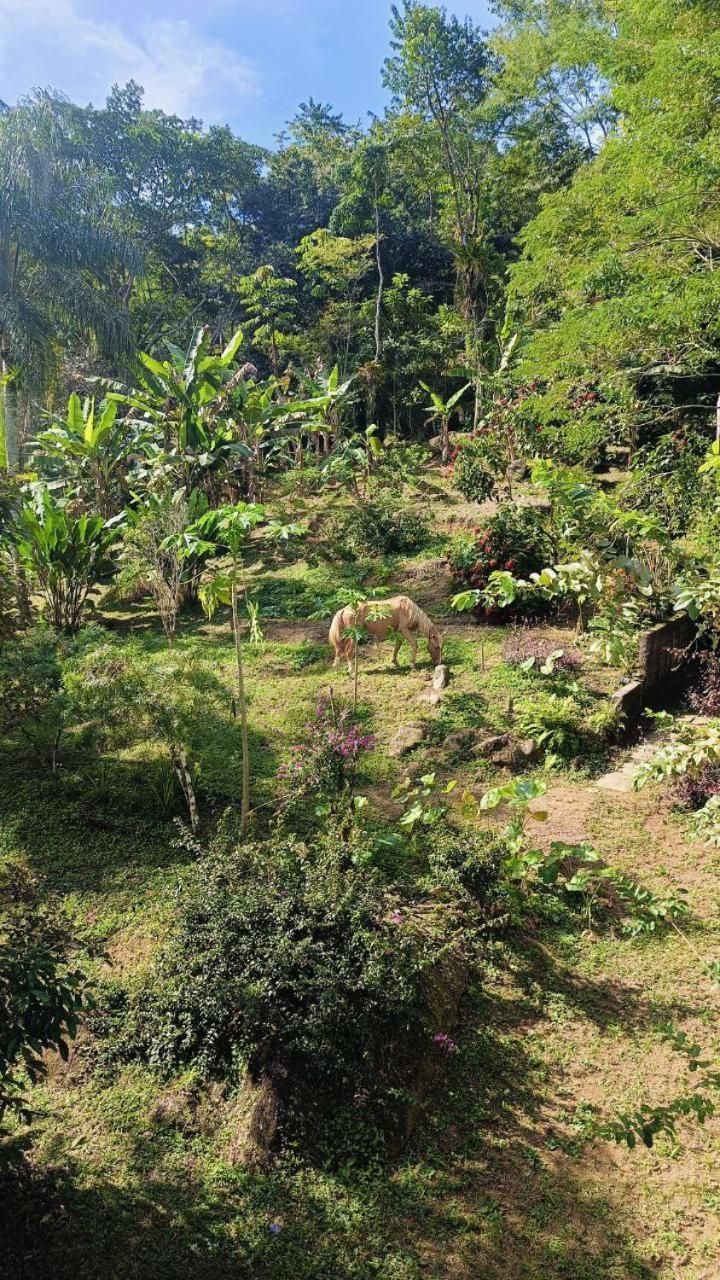 Homestay Casa Encantada Paraty